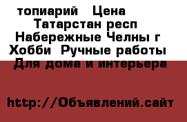 топиарий › Цена ­ 600 - Татарстан респ., Набережные Челны г. Хобби. Ручные работы » Для дома и интерьера   